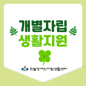 개별자립지원