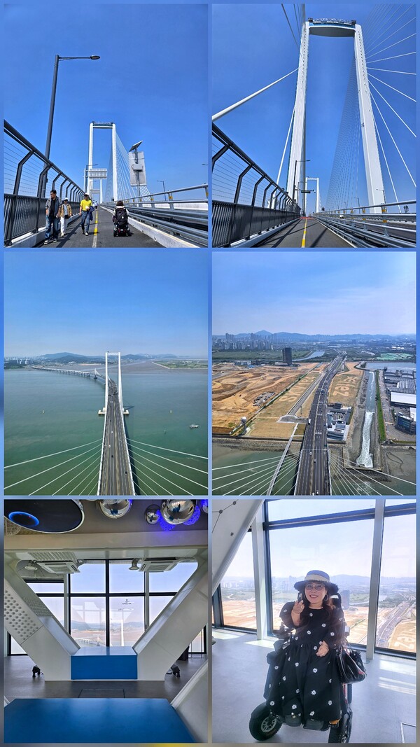 uploaded_6a6bf42d21e04.jpg